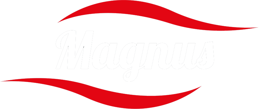 Logo der Firma Magnus UG